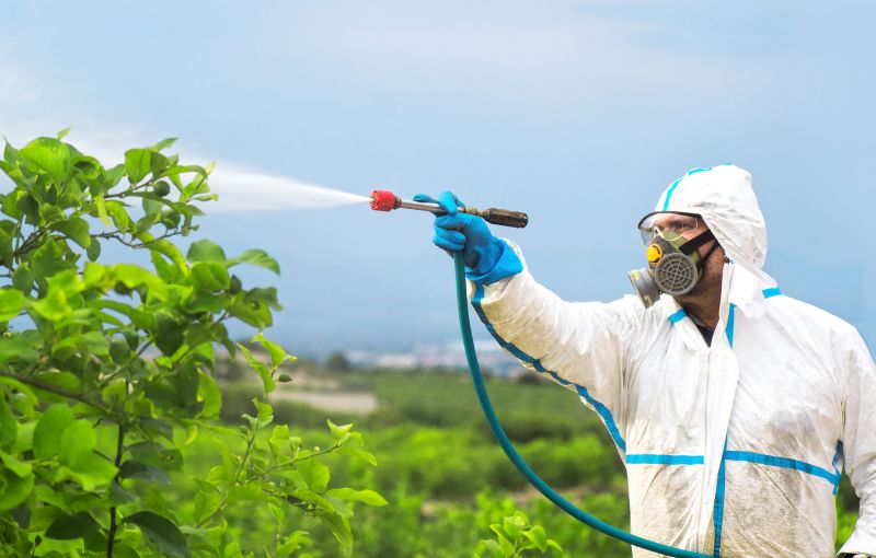Rat Fumigation Service in Clarksville, TN