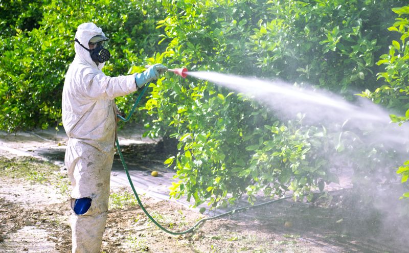 Residential Fumigation in Clarksville, TN