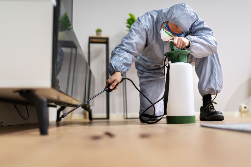 Pest Fumigation Service in Katy, TX