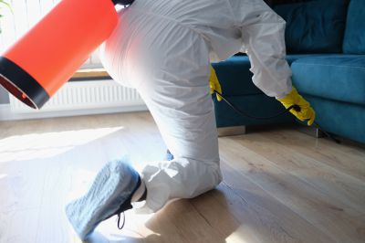 Pest Fumigation Service in Wilmington, DE